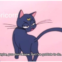 sakura-latebloom avatar