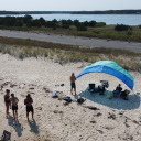 sakuramochipanda avatar