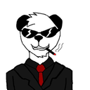 sal-y-panda avatar