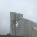 saladdayzz4lyff avatar