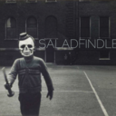 saladfindles-blog avatar