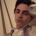 salamandergirl avatar