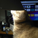 salatkurilshika avatar