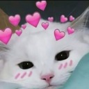 salbeifuerdich avatar