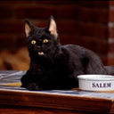 salems-blog avatar
