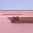 salidadelmarisol avatar