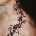 saliendodelacuario avatar