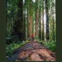 salihsert483-blog avatar