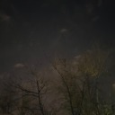 salinasauffla avatar