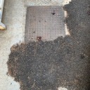 sallyintheskywithdiamonds avatar