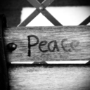 sallyssongismysong avatar