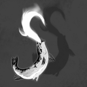 salmon-soul avatar