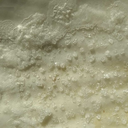 salmongoddess541 avatar