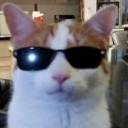 salt-2-negotiations avatar