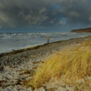 salt-in-our-blood avatar