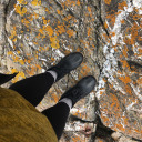 saltandburnsage avatar