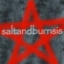 saltandburnsis avatar