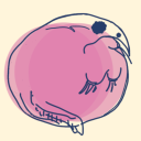 saltasauruskei avatar