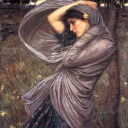 saltator-maris avatar