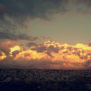 salted--earth avatar