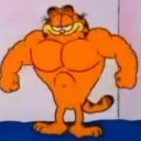 saltedbirdcat avatar