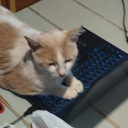 saltedcaramel05 avatar