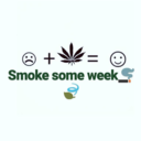 salter0612-blog avatar