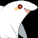 salthealbinodolphin avatar