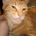 saltinethegreat avatar