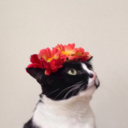 saltsandspark avatar