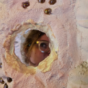 saltsicklover avatar