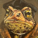 saltwatercatfish avatar