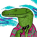 saltwaterhermit avatar