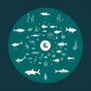 saltwaterstudy avatar