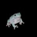 salty-but-bland avatar