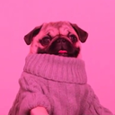 salty-saltier-saltiest avatar