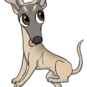 salty-sighthound avatar