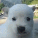 saltybreeze avatar