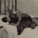 saltycoffeekitten avatar