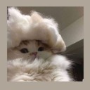 saltydreamerwitcj avatar