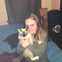 saltyfesttyphoon avatar