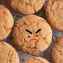 saltygingersnaps avatar