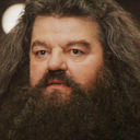 saltyhagrid avatar