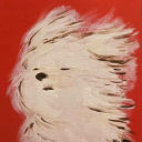 saltyinternetflower avatar