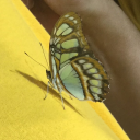 saltynovember avatar