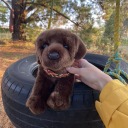 saltyserval47 avatar