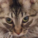 saltyvanillabean avatar