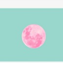 salutationsandsternutations avatar