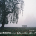 salvacion-perdicion avatar