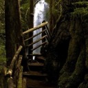 salvadoranarthistory avatar